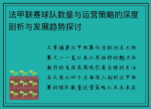 法甲联赛球队数量与运营策略的深度剖析与发展趋势探讨