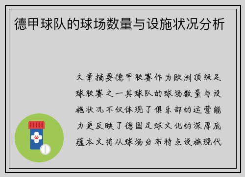 德甲球队的球场数量与设施状况分析