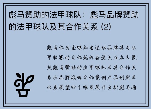 彪马赞助的法甲球队：彪马品牌赞助的法甲球队及其合作关系 (2)